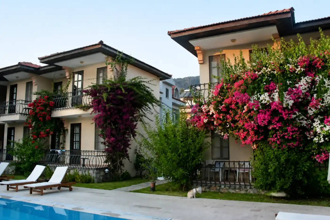 Otel binaları arasındaki bahçe çimi ve taş yol